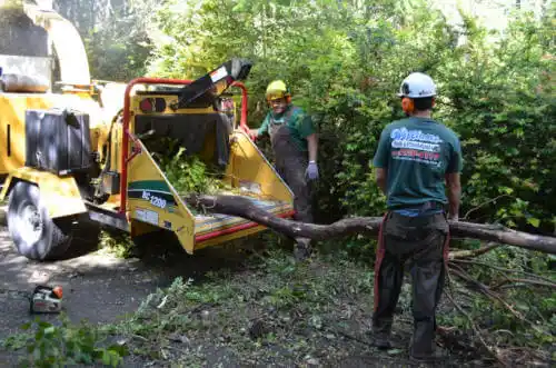 tree services Union